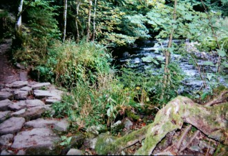 Wutachschlucht2 (Foto: Arnold Illhardt)