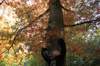 Herbstrausch (Foto A. Illhardt)