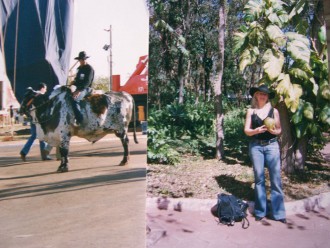 Beim Rodeo im Hinterland von São Paulo (Fotos: Susanne Siebert)