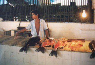 Fischverkäufer im Mercado Municipal in Manaus (Foto: Birgit Hartmeyer)
