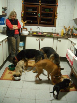 "Raubtierfütterung" - Meine 5 Hunde und ich im 2. Haus an der Riviera Paulista (Foto: Ruth Lindner)