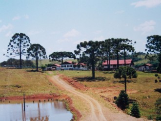Fazenda Boqueirão bei Lages im Bundesstaat Santa Catarina (Foto: Birgit Hartmeyer)