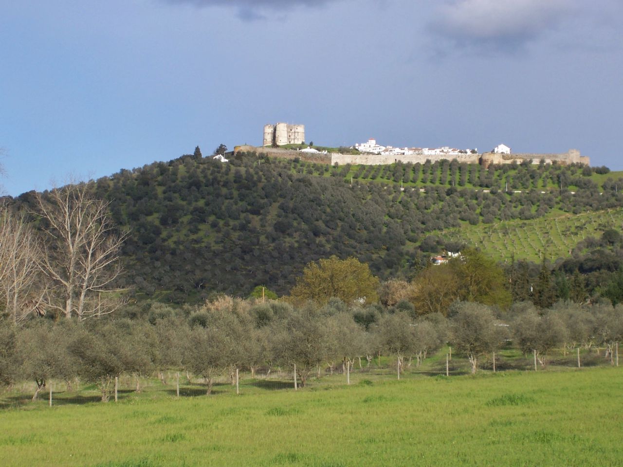 Das mittelalterliche Städtchen Évoramonte, umgeben von Korkeichen und Olivenbäumen (Foto: Birgit Hartmeyer)