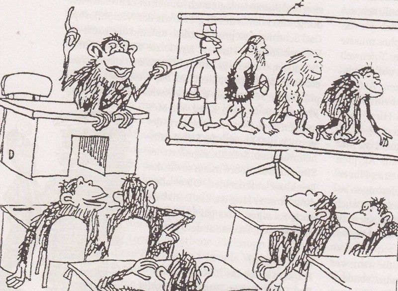 Cartoon von Jan Tomaschoff www.humorverwaltung.de mit seiner Erlaubnis, gescannt aus der philosophischen Zeitschrift "Der blaue Reiter" von S. Reusch