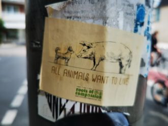 Alle Tiere wollen leben (Foto Arnold Illhardt)