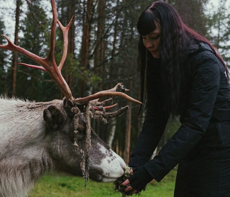 Rentiere füttern auf einer der ältesten Rentierfarmen bei Rovaniemi (Foto Maike)