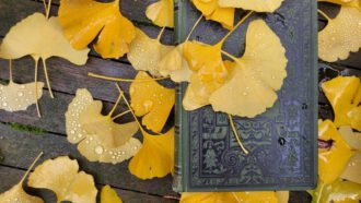 Altes Buch (Foto Arnold Illhardt)