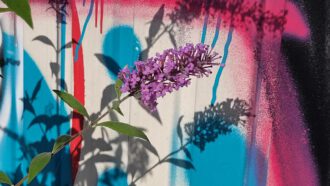 Farbe ins Leben (Foto Arnold Illhardt)