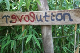 Revolution (Foto Arnold Illhardt)