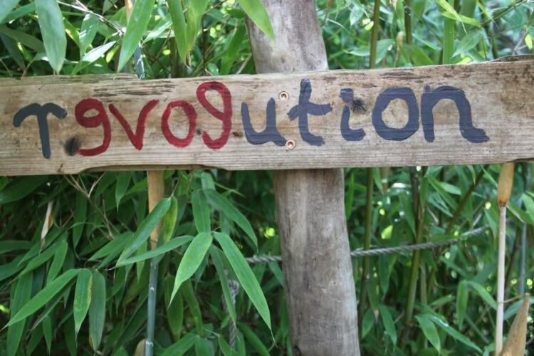 Revolution (Foto Arnold Illhardt)