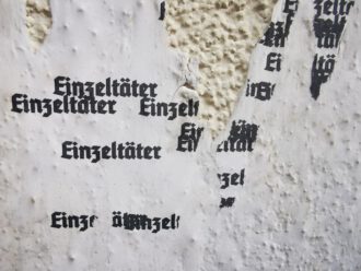 Einzeltäter (Foto A. Illhardt)