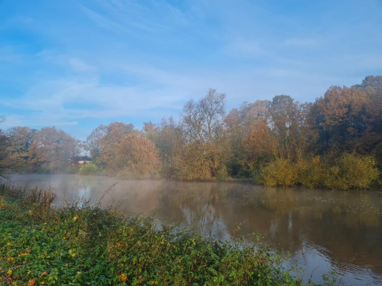 Ems (Foto Marion Illhardt) Weiter nördlich von Haren liegt die größte Werft Deutschlands: die Meyer Werft in Papenburg. Hier werden die riesigen Kreuzfahrtschiffe, z.B. die „Arvia“, die Platz für 5.200 Passagiere hat, gebaut. Um diese Kolosse von der Werft bis nach Emden, wo die Ems in die Nordsee mündet, zuzuführen, musste der Fluss über Jahrzehnte mehrere Meter (in den letzten Jahren von 2,50 m auf 7,50 m) tief ausgebaggert werden, da diese Schiffe natürlich einen enormen Tiefgang haben. Das bedeutet allerdings, dass die Unterems dadurch mit vielen ökologischen Problemen kämpfen muss. Die Ems verschlickt und es gelangt zu viel Salz den Fluss hinauf. Den einstigen Artenreichtum gibt es hier nicht mehr! Volker Wachendörfer (Deutsche Bundesstiftung Umwelt) sagt hierzu: „Vor einigen Jahrzehnten zählte der Mündungsbereich der Unterems noch zu den deutschen Flussbiotopen mit der höchsten Biodiversität. Heute sind Teile der Wasserstraße durch die hohen Schwebstoffanteile besonders im Sommer biologisch quasi tot.“ Abschlussworte: Die Meyer Werft ist nicht allein dafür verantwortlich, was mit dem wunderschönen Fluss Ems passiert, es sind Touristen, die sich für eine umweltschädliche Kreuzfahrt entscheiden! Verantwortungsloser Massentourismus ist die Ursache für das Artensterben an der Unterems und es ist nicht zu erwarten, dass die Regierung Niedersachsens dem so schnell einen Riegel vorschiebt, wenn gleichzeitig die Kreuzfahrtindustrie finanziell unterstützt wird! Zum besseren Verständnis: Eine einwöchige Kreuzfahrt verursacht zwischen 1,5 und 1,9 t CO2 pro Person. Pro Tag erzeugt ein Mensch in Deutschland durchschnittlich 30 kg CO2, das wären in der Woche 210 kg!