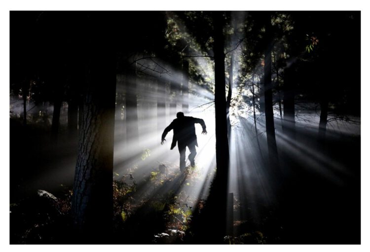 Doktor Frankensteins Kreatur im Film Foto Pixabay