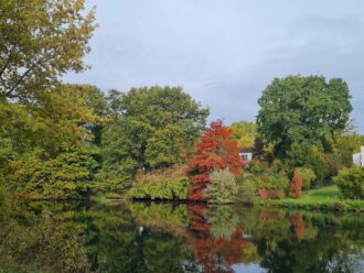 Ems bei Telgte (Foto Marion Illhardt)