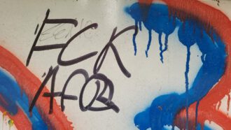 FCK-AfD 2 (Foto Arnold Illhardt)