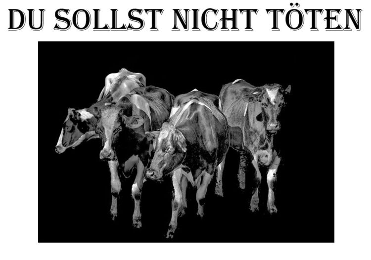 Du sollst nicht töten (Foto Pixabay)